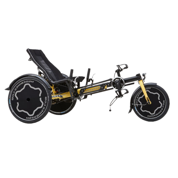 Hase cheap recumbent trike