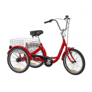 gomier trike nz