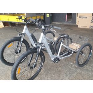 Custom Trike - Sinch