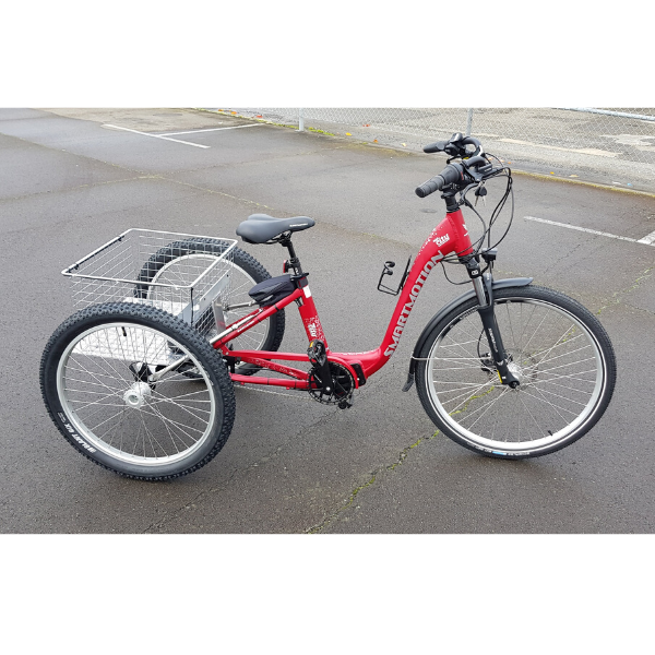 red smartmotion adult trike