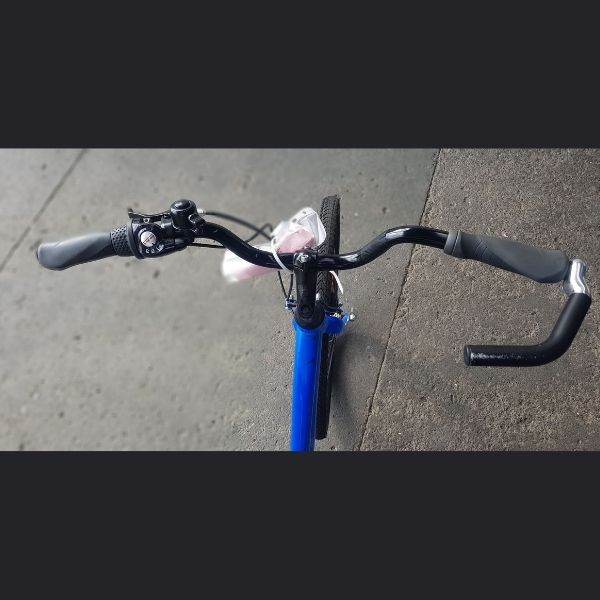 Jamis Trike Trikes NZ