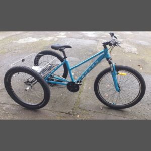 childs trike