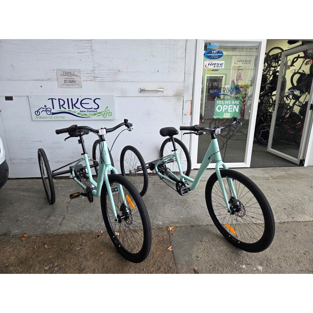 Adults Trike - Custom - Image 3