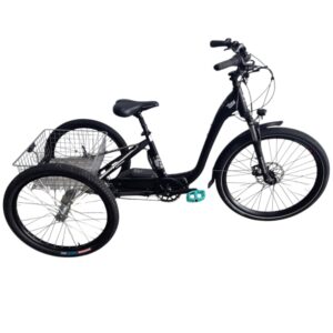 Custom Smartmotion Mid-City Adult e-Trike