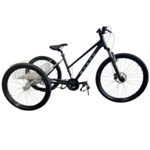 **Pre-Loved** Haro FlightLine1 Trike - Grey/Sage