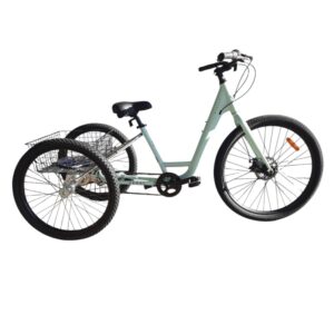 Adult Trikes